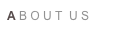A B O U T  U S